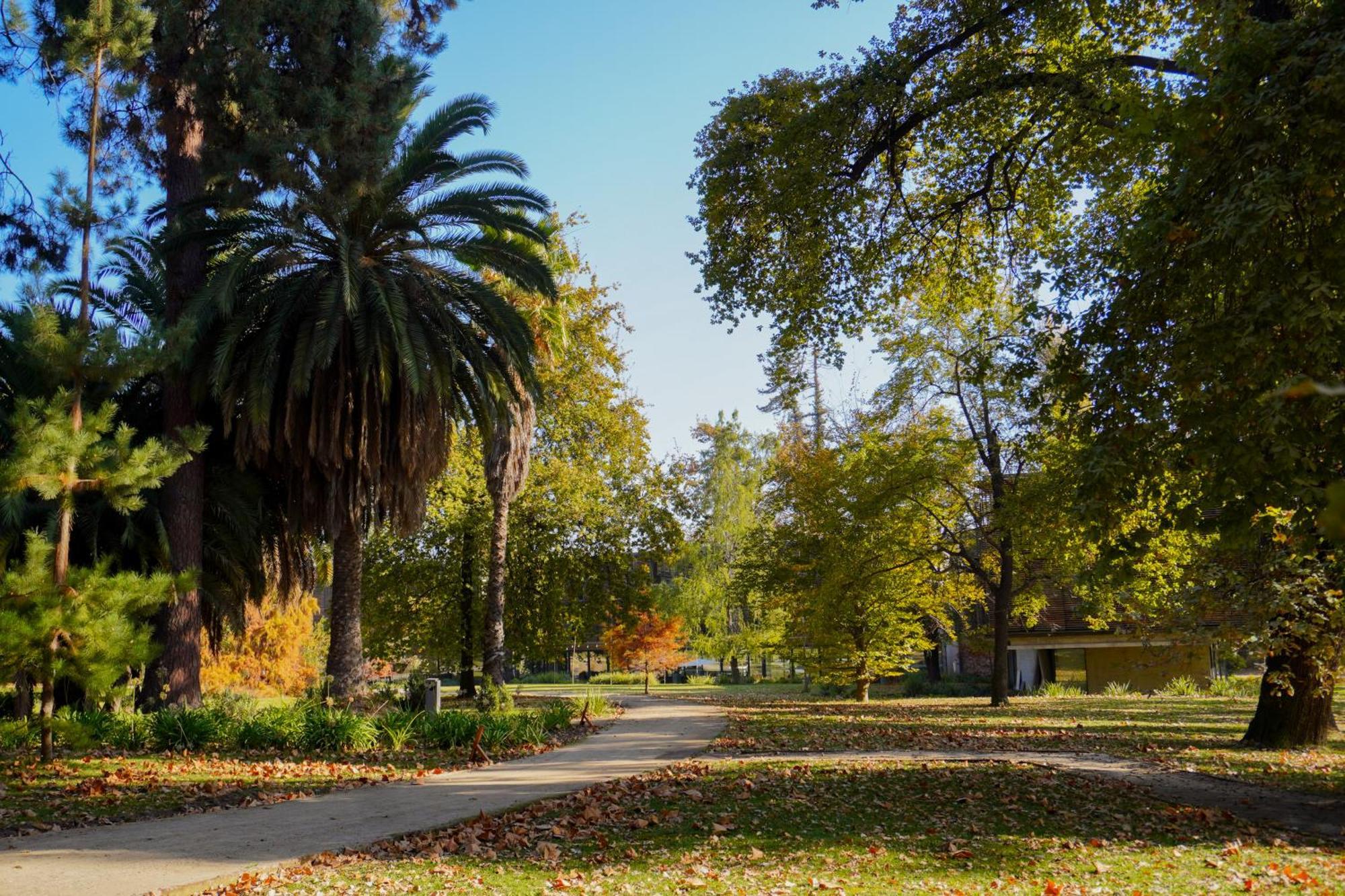 Las Majadas Hotel & Centro De Reuniones Pirque Εξωτερικό φωτογραφία